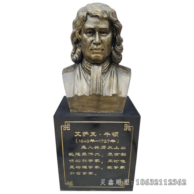 牛顿胸像雕塑，玻璃钢仿铜雕塑 (2)