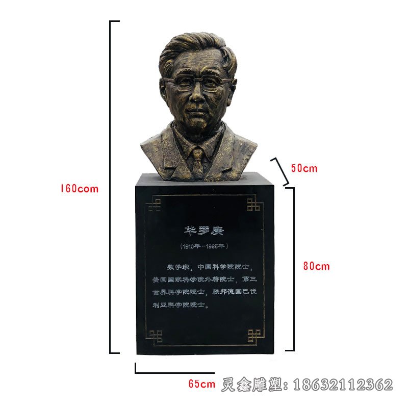 数学家华罗庚胸像铜雕 (1)