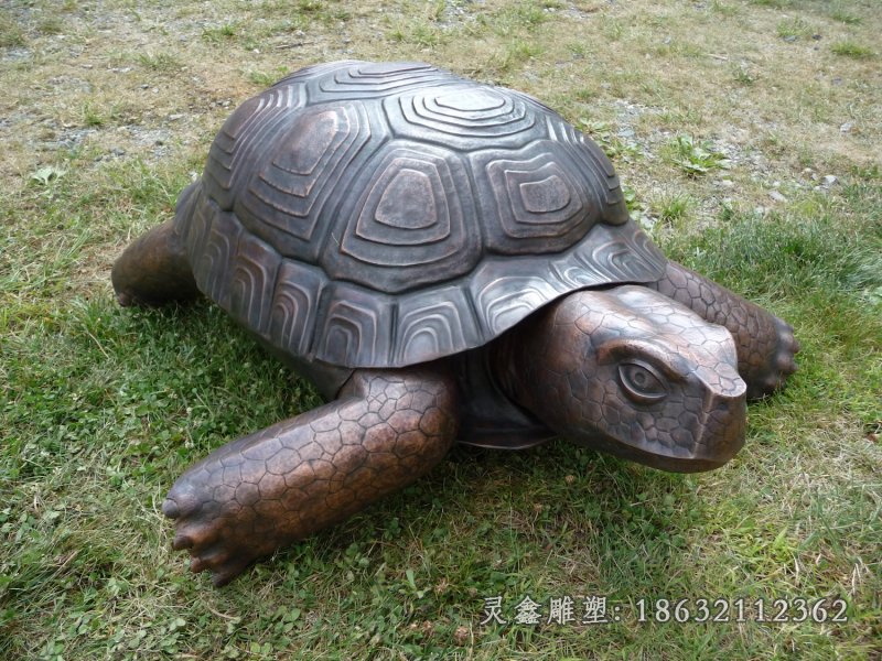乌龟城市园林铜雕
