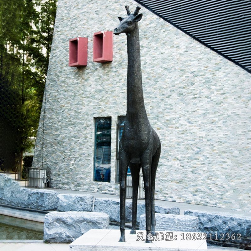 铜雕长颈鹿 (3)