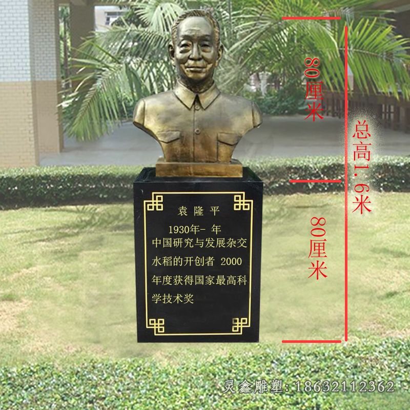 杂交水稻之父袁隆平胸像铜雕