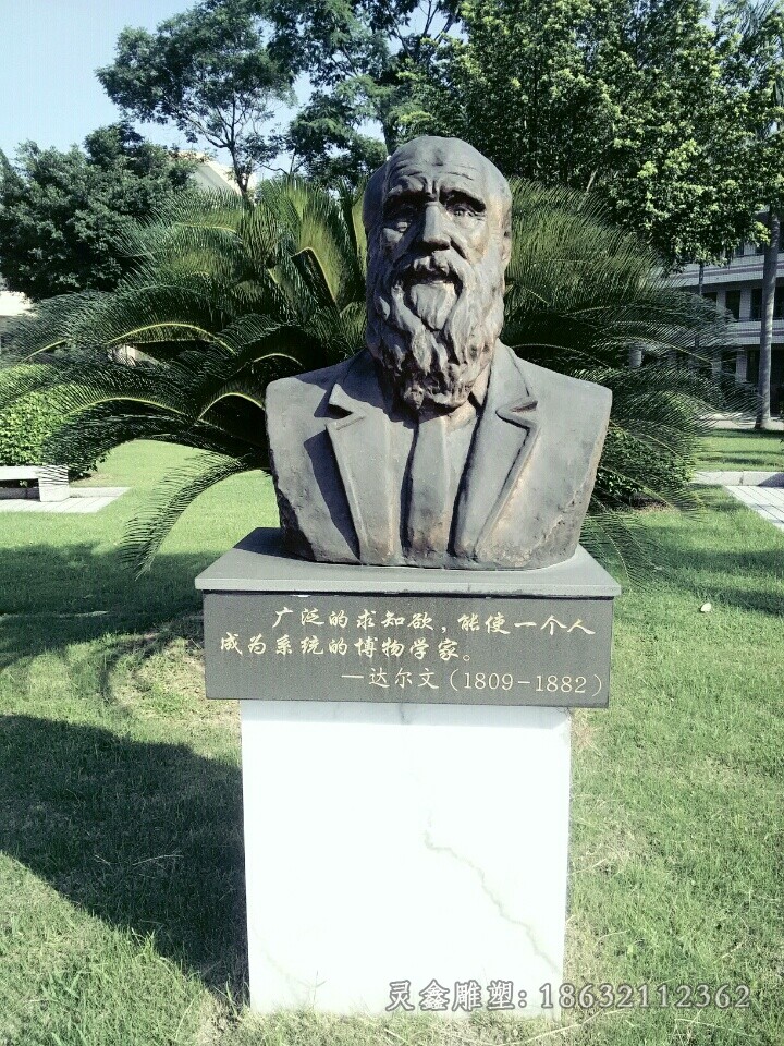 科学家达尔文胸像人物铜雕
