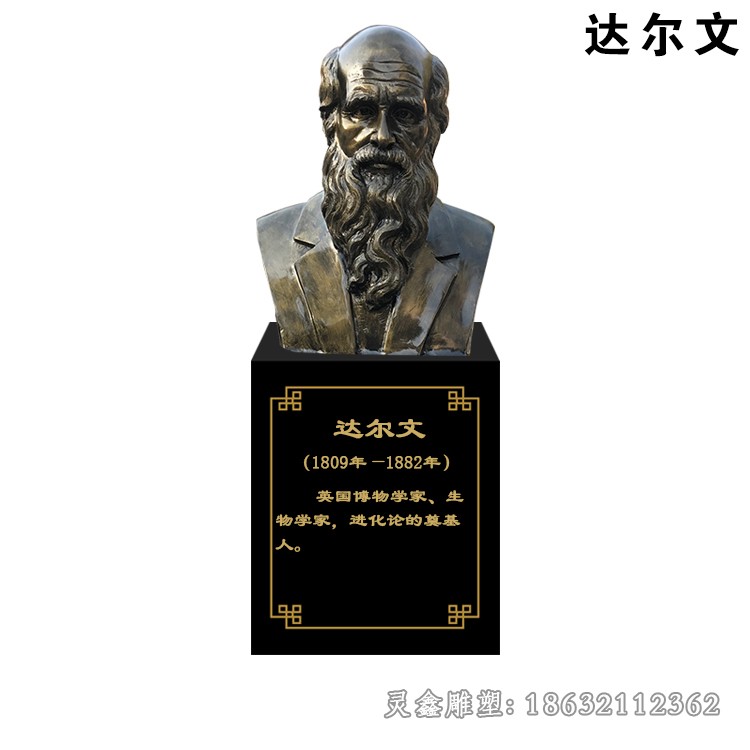 英国生物学家达尔文胸像铜雕